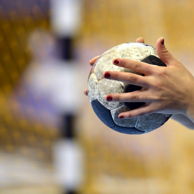 Handball Player about to shoot a handball into the goal.